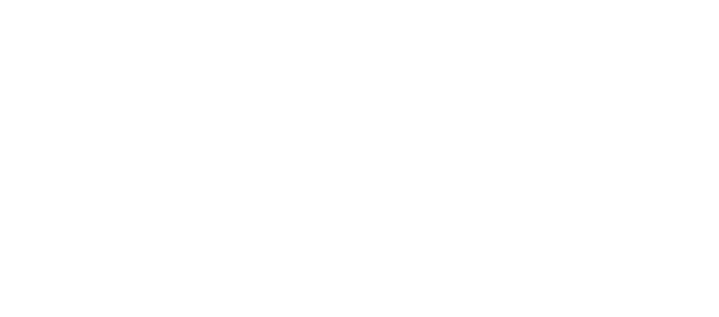 Natural NSO Logo